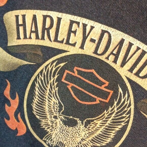 Harley-Davidson Capitol City Tallahassee Florida Men's Tee - Picture 5 of 7